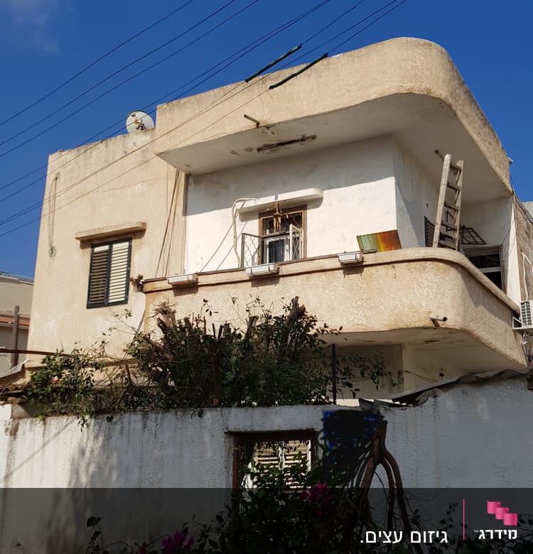 צמחייה גזומה על גדר ליד בית